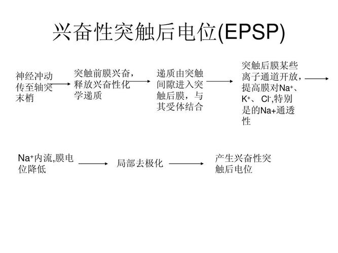 全国新闻 第56页