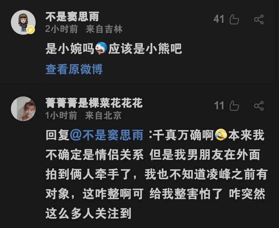 新澳门历史开奖记录查询表和张小婉左凌峰恋情与张小婉女主