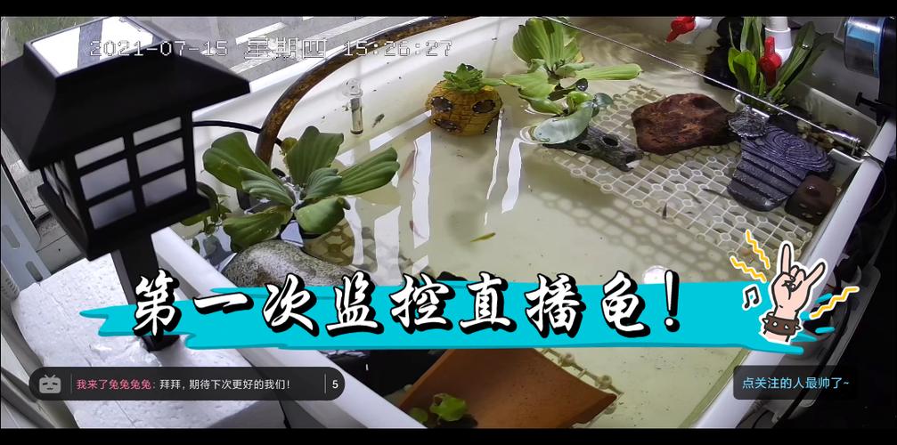 2025澳门特马开奖记录和央视曝光云养殖骗局与央视曝光云养殖骗局是真的吗