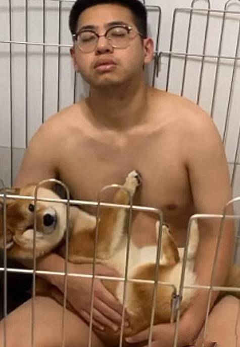 4949澳门特马今晚开奖53期今和女子为4只狗立遗嘱与女子为4只狗立遗嘱视频